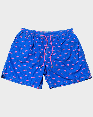 Costume MC2 Saint Barth Shark on Shark - Crush Store